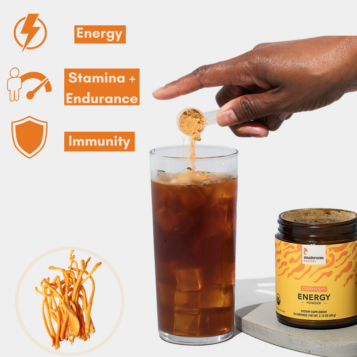 Mushroom Revival Energy Cordyceps Powder Best Sales Price - Edibles