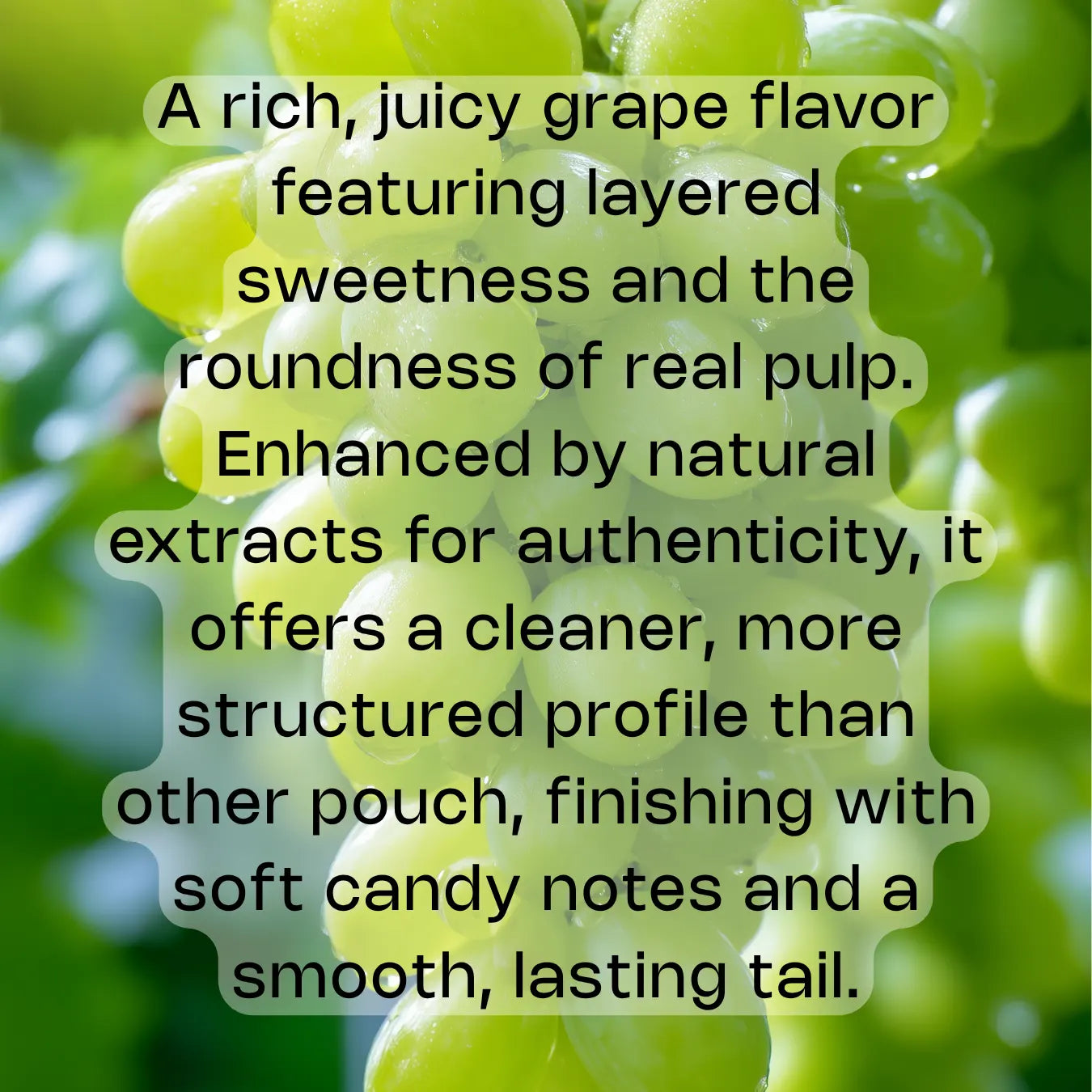 zarPouch Grape Splash 16MG Nicotine AirPouch