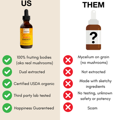 Mushroom Revival Energy Cordyceps Tincture Best Sales Price - Tincture Oil