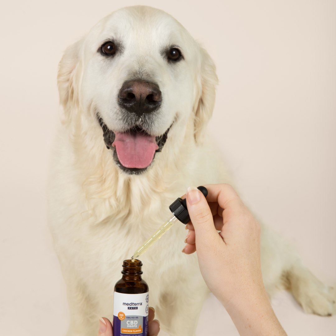 Medterra Pet CBD Drops