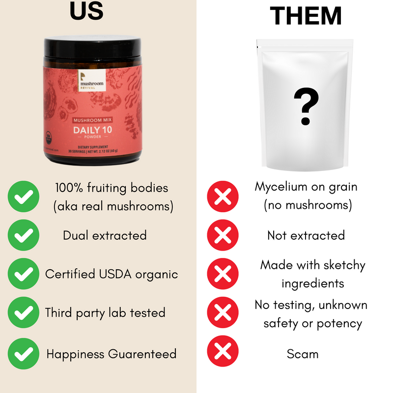 Mushroom Revival Daily 10 Mushroom Blend Powder Best Sales Price - Edibles