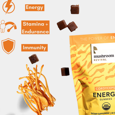 Mushroom Revival Energy Gummies Best Sales Price - Gummies