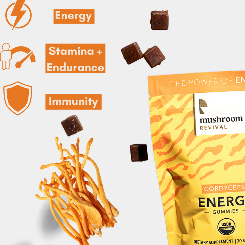 Mushroom Revival Energy Gummies Best Sales Price - Gummies
