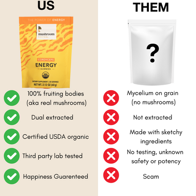 Mushroom Revival Energy Gummies Best Sales Price - Gummies
