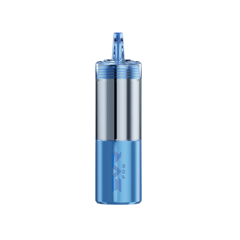 EVRFOG 100K Refillable Disposable POD Best Sales Price - Disposables