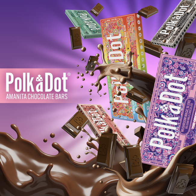 Polkadot - Amanita Chocolates