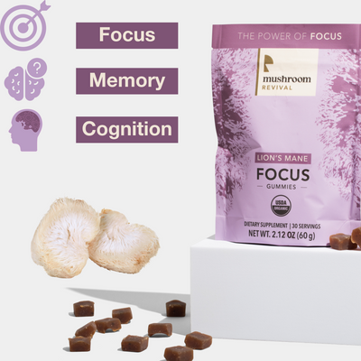 Mushroom Revival Focus Lion's Mane Gummies Best Sales Price - Gummies