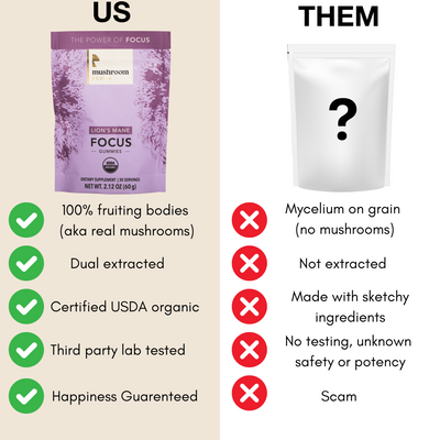 Mushroom Revival Focus Lion's Mane Gummies Best Sales Price - Gummies