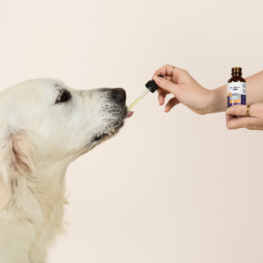 Medterra Pet CBD Drops