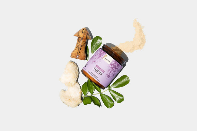 Mushroom Revival Focus Lion's Mane Powder Best Sales Price - Edibles