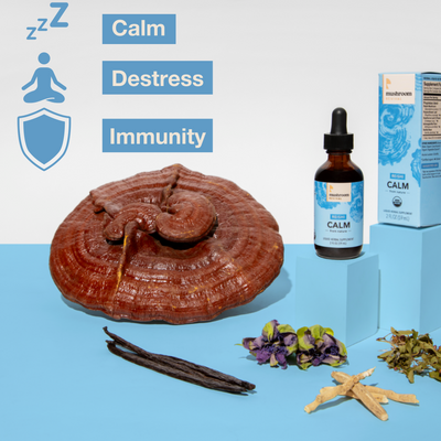 Mushroom Revival Calm Reishi Tincture Best Sales Price - Tincture Oil