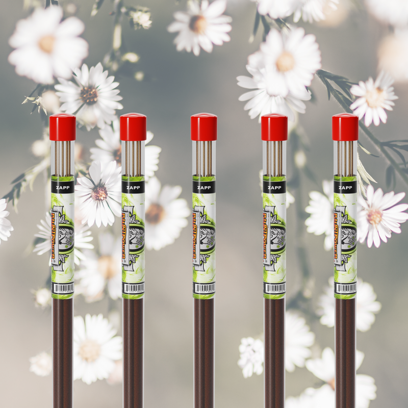 Zapp Long Incense Sticks Best Sales Price - Smoke Odor Eliminators