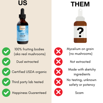 Mushroom Revival Calm Reishi Tincture Best Sales Price - Tincture Oil