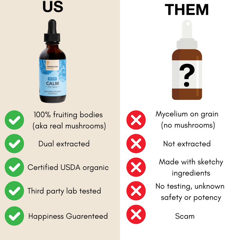 Mushroom Revival Calm Reishi Tincture Best Sales Price - Tincture Oil