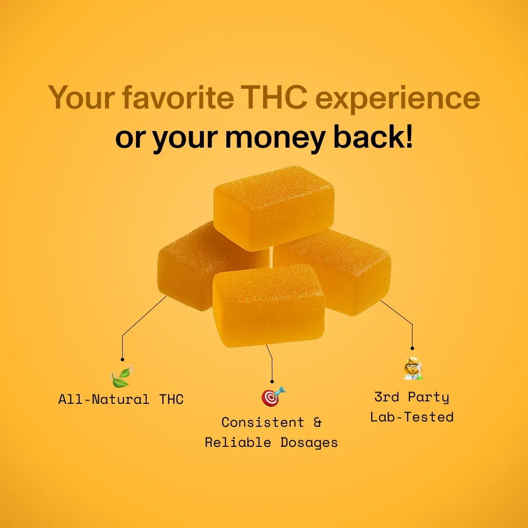 Diet Smoke Acapulco Gold 200MG THC | 10 GUMMIES