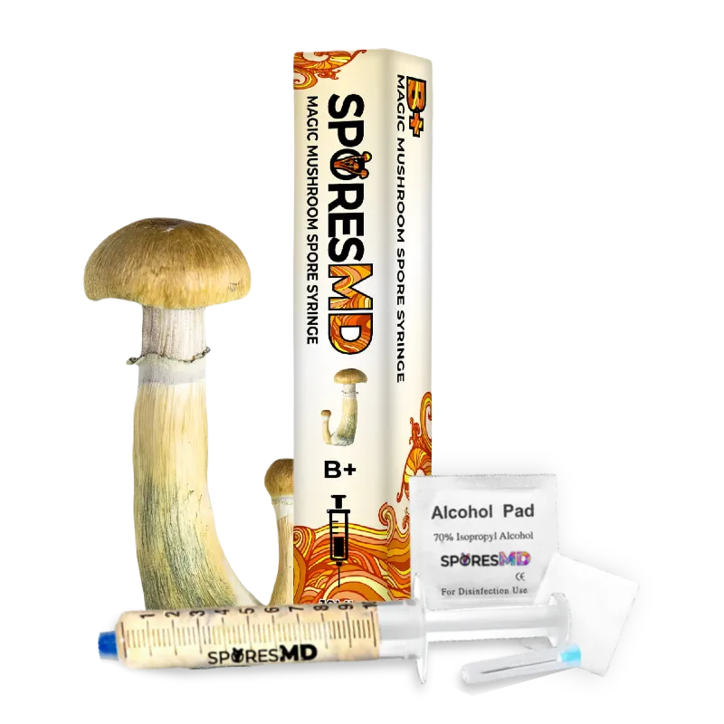 SporesMD Mushroom Spore Syringe - 10mL