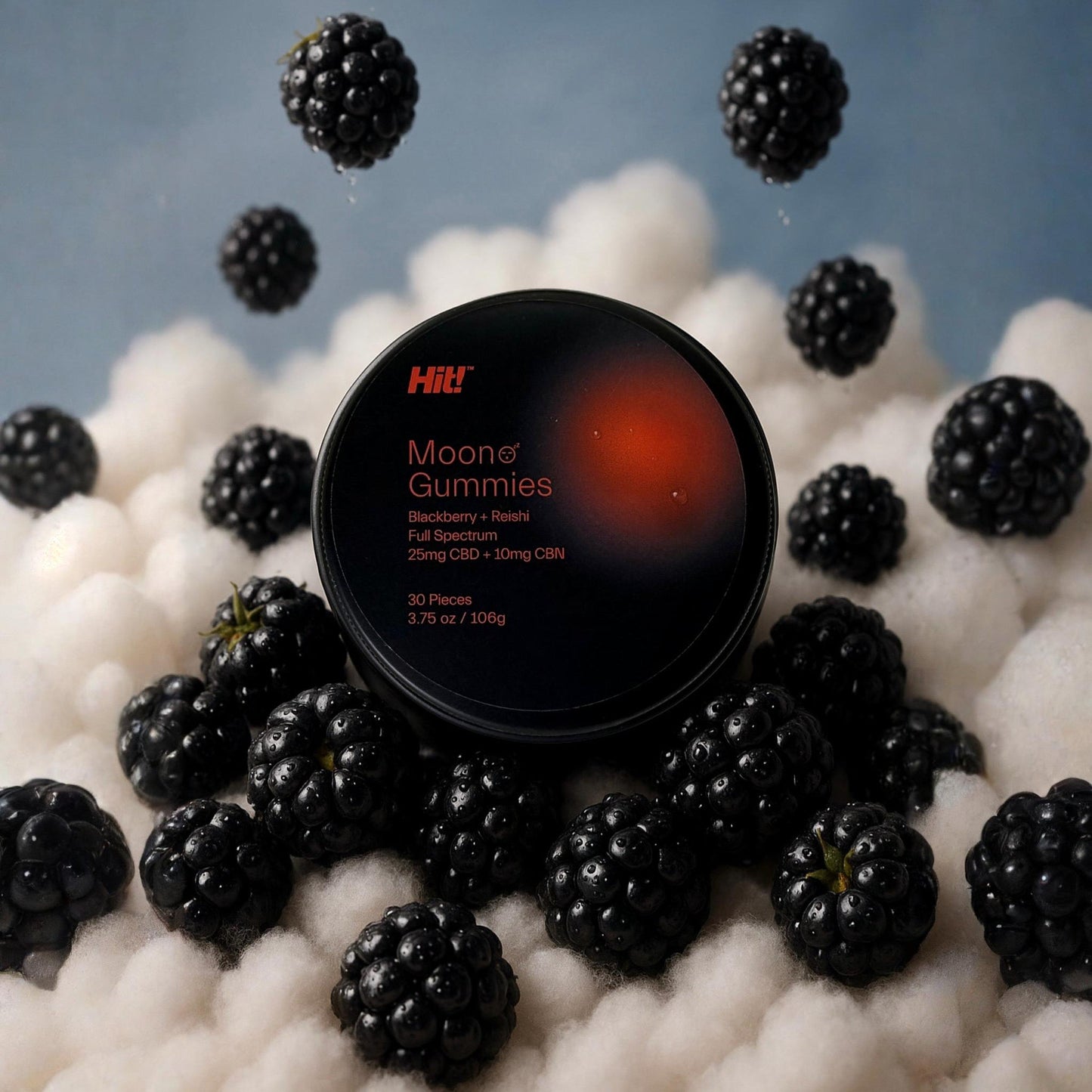 Hit! Moon Gummies with Blackberry + Reishi for Deep Sleep I 750mg CBD and 300mg CBN I 30ct