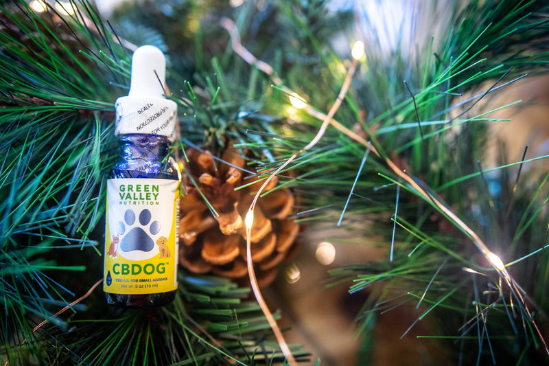 You & Your Pets Bundle Best Sales Price - Tincture Oil