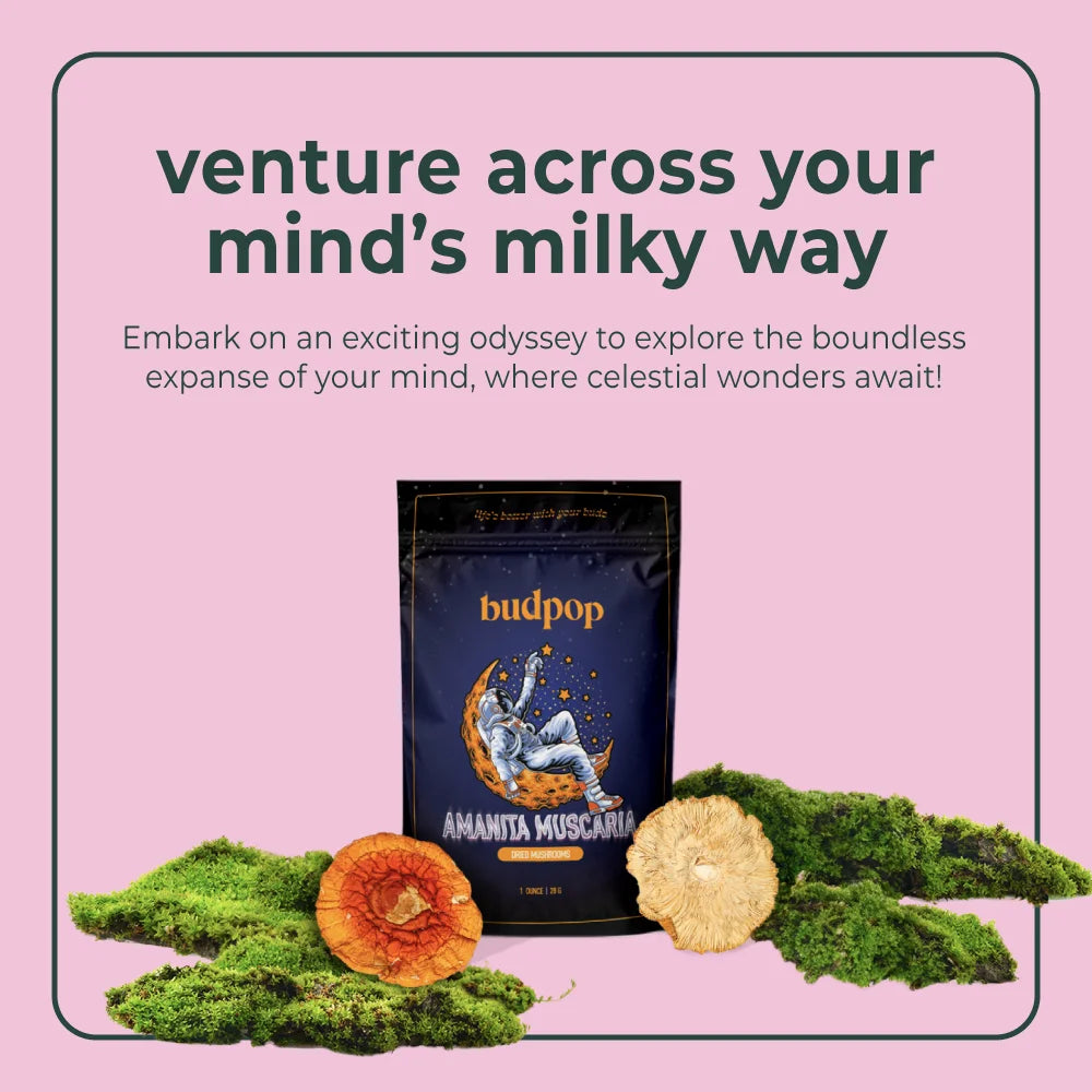 BudPop Dried Amanita Muscaria Mushrooms