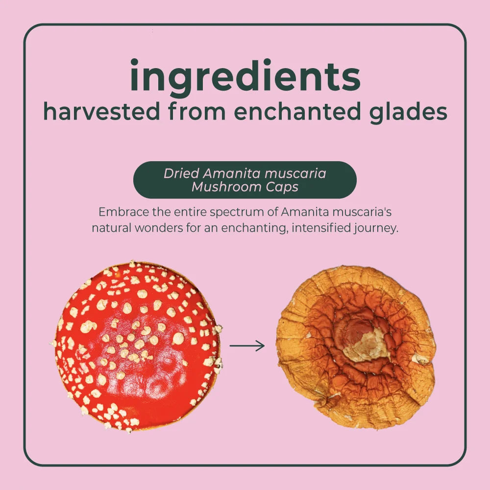 BudPop Dried Amanita Muscaria Mushrooms
