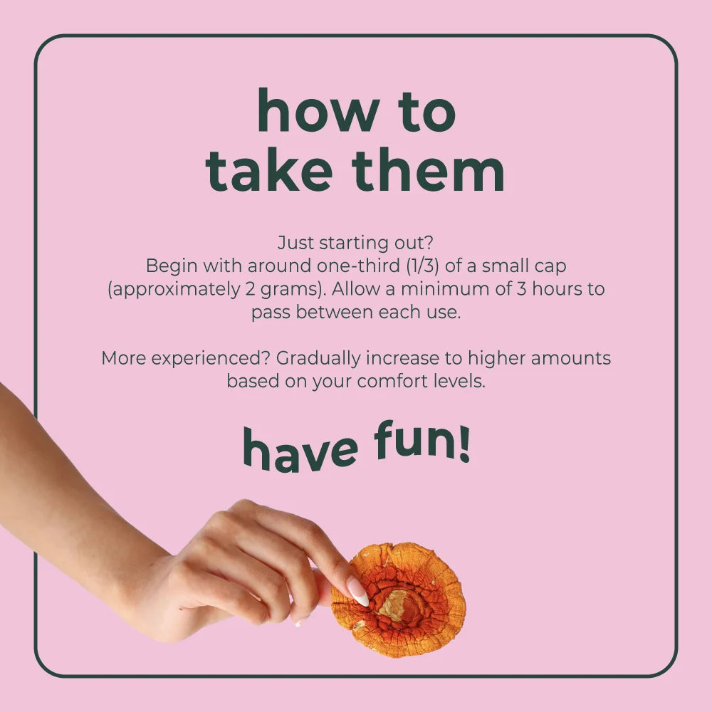 BudPop Dried Amanita Muscaria Mushrooms