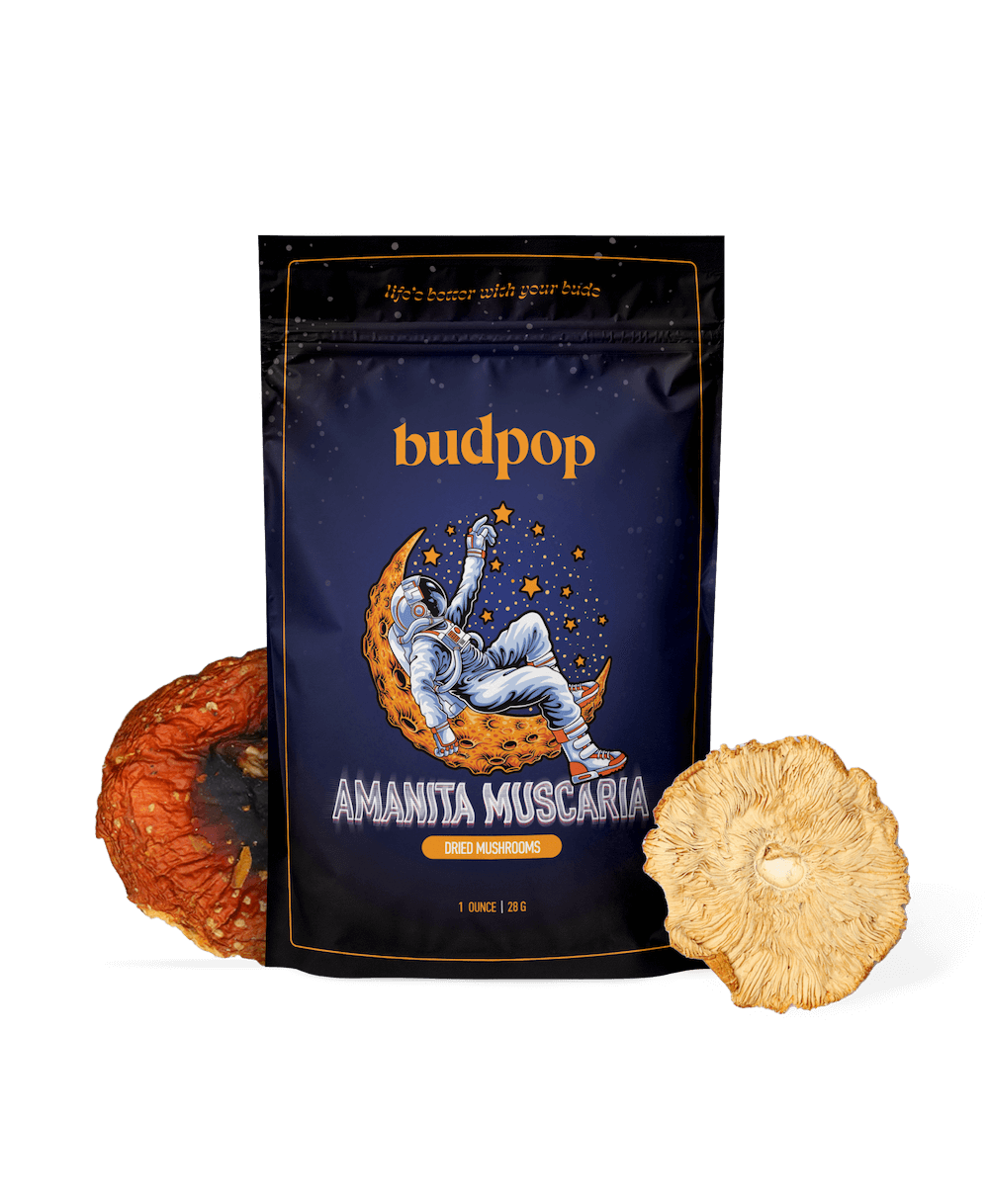 BudPop Dried Amanita Muscaria Mushrooms
