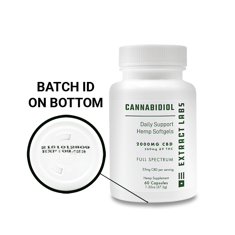 Extract Labs CBD Capsules | Daily Support