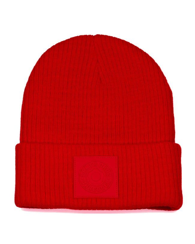 Santa Cruz Shredder Apparel Beanies "COG Patch"