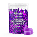 Binoid Astral Plane Mushroom Gummies