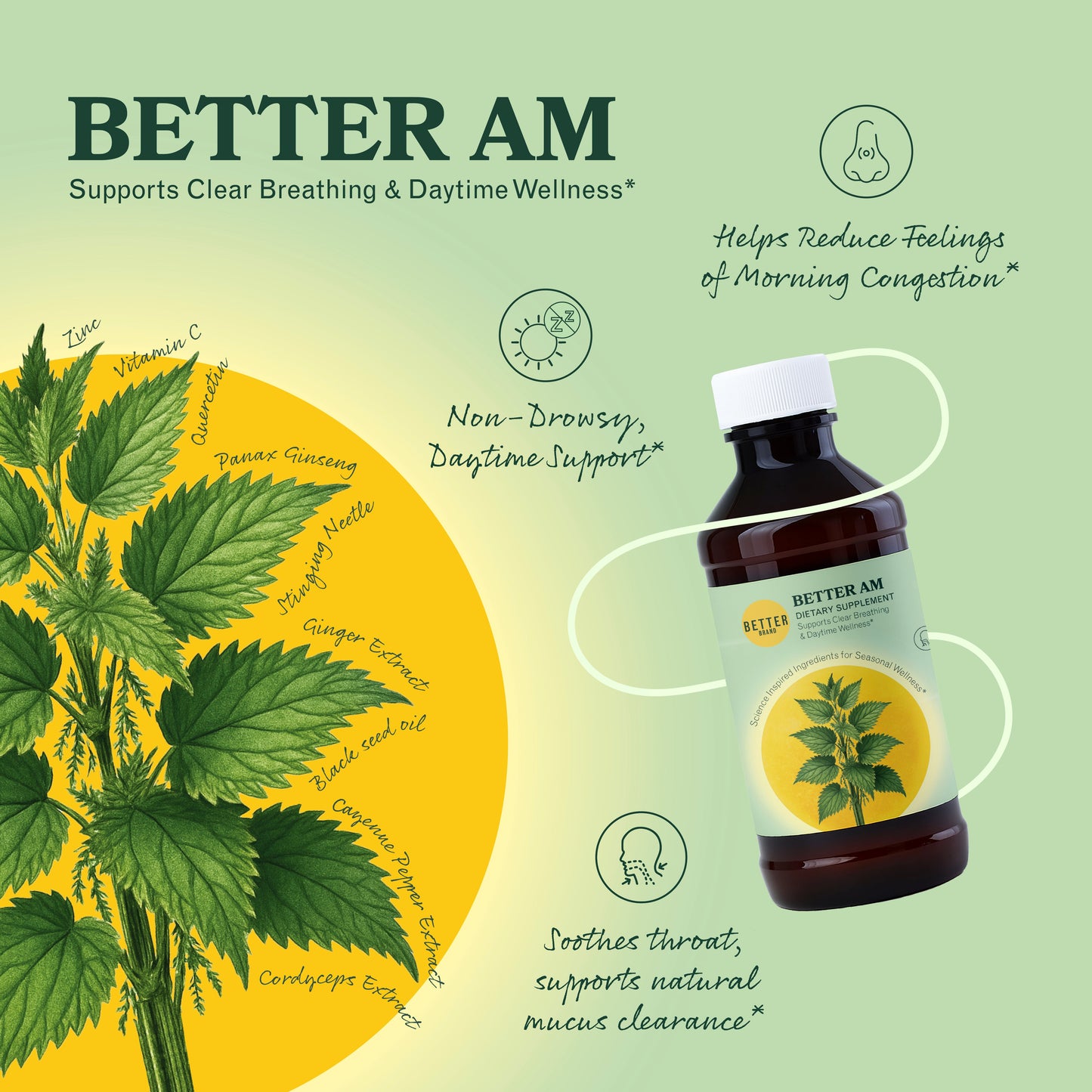 BetterBrand Seasonal Wellness Box