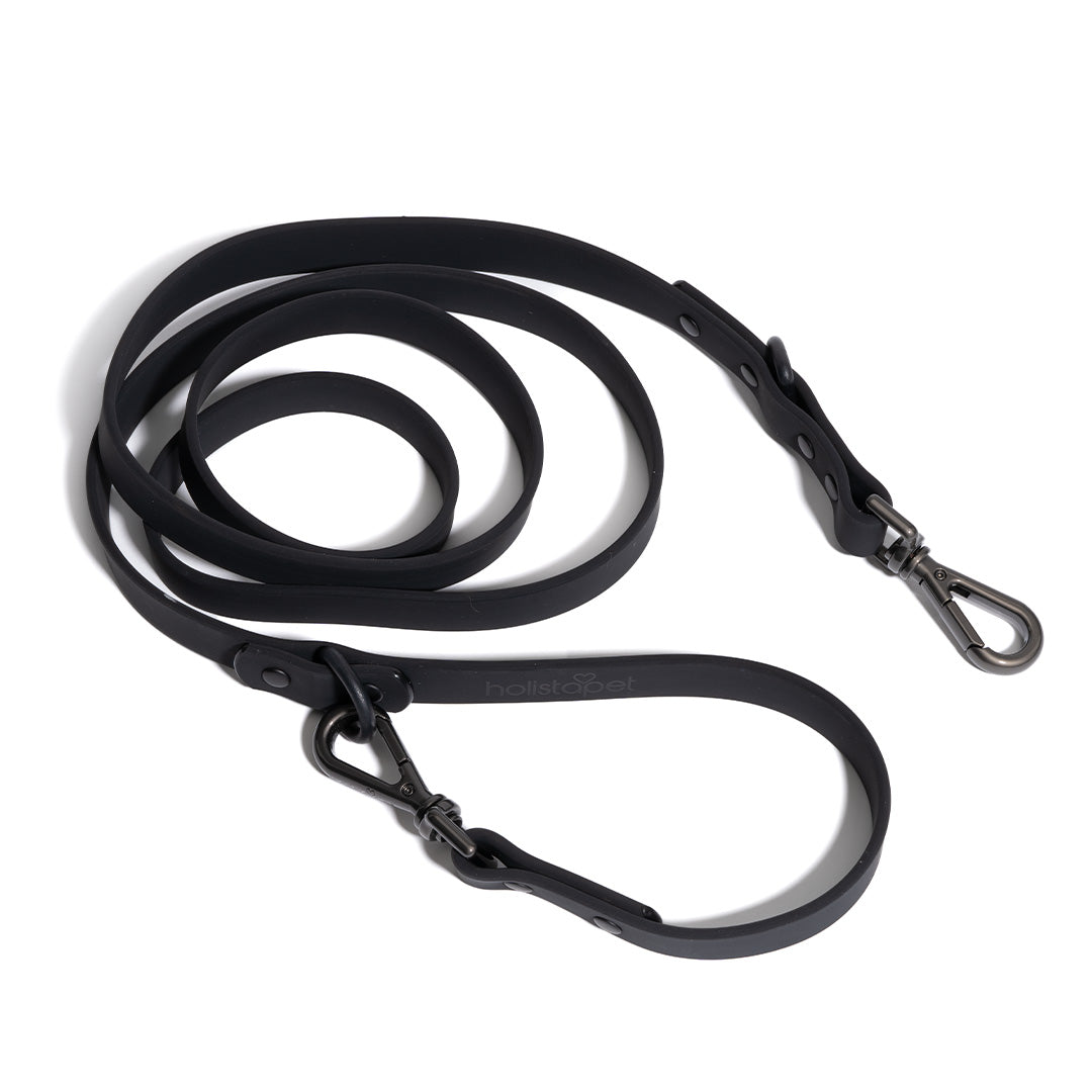 Holistapet Dog Leashes