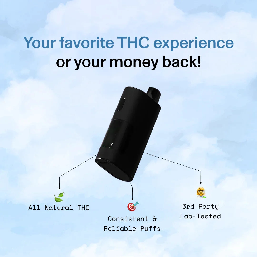 Diet Smoke Blue Dream Disposable Vape