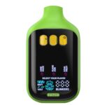 Boutiq Switch V5 Gum Edition THCa Disposable 2g Best Sales Price - Vape Pens