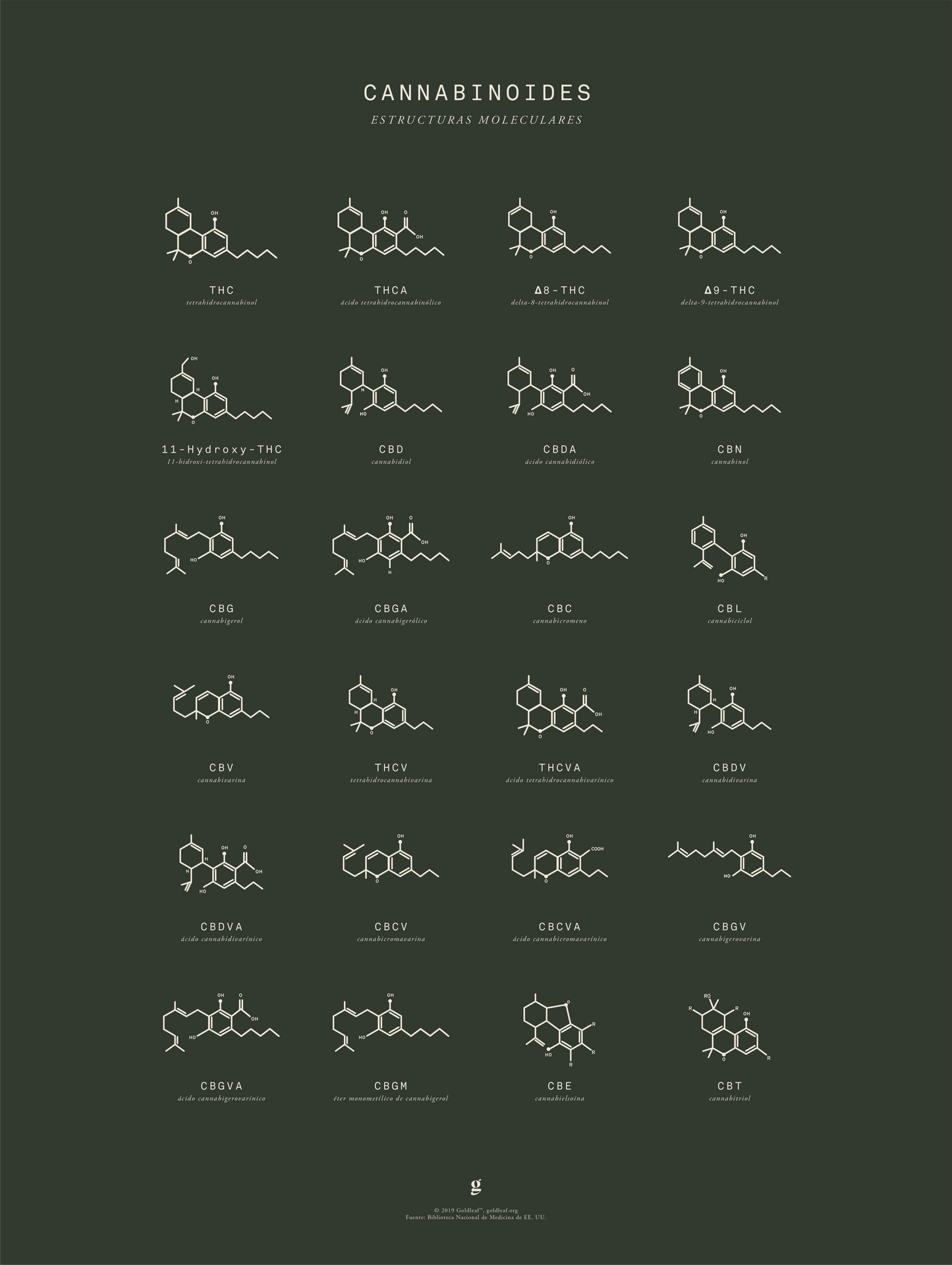 GoldLeaf Gráfico de Estructuras Moleculares de Cannabinoides Best Sales Price - Art Prints