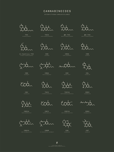 GoldLeaf Gráfico de Estructuras Moleculares de Cannabinoides Best Sales Price - Art Prints