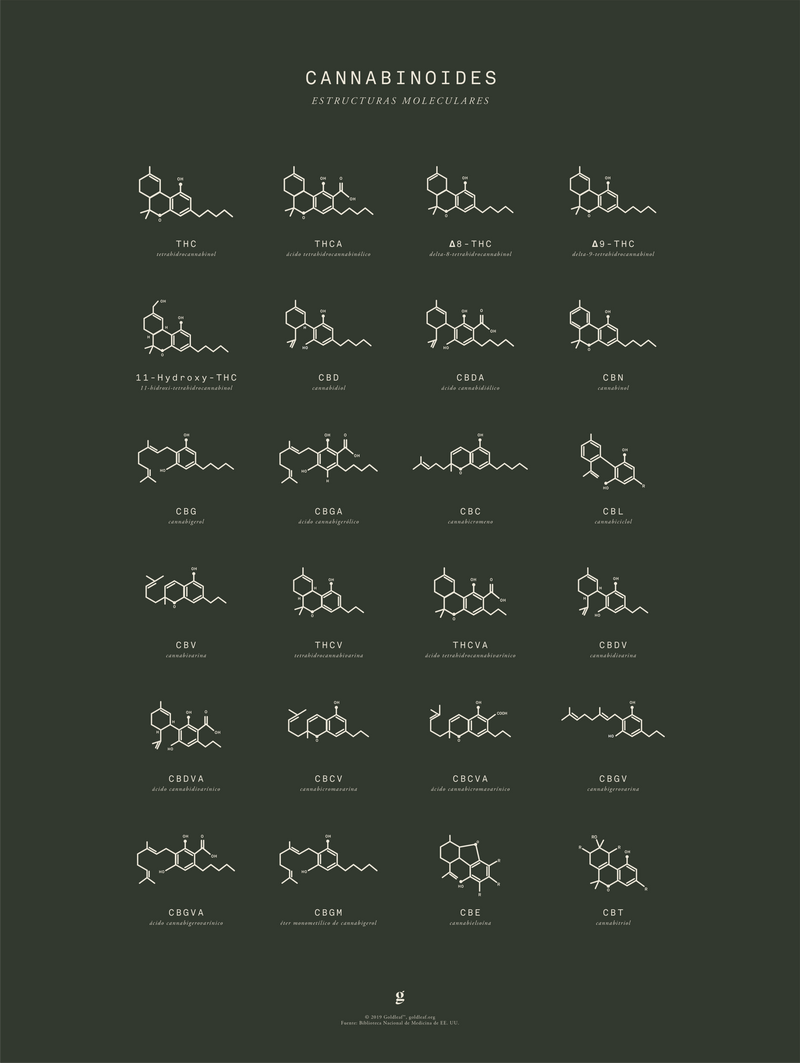 GoldLeaf Gráfico de Estructuras Moleculares de Cannabinoides Best Sales Price - Art Prints