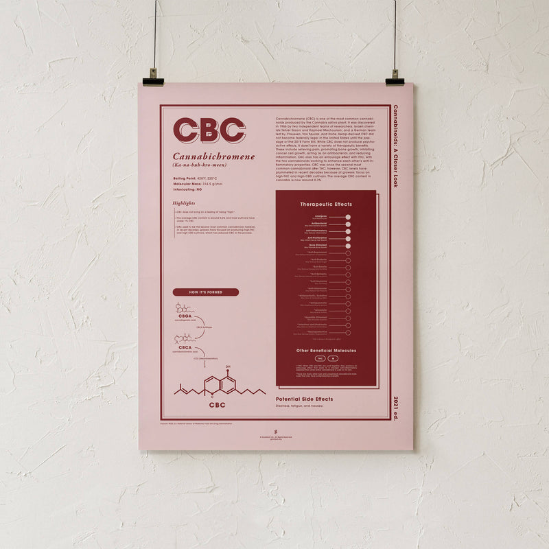 GoldLeaf CBC: A Closer Look Print Best Sales Price - Art Prints