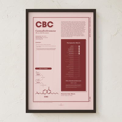 GoldLeaf CBC: A Closer Look Print Best Sales Price - Art Prints