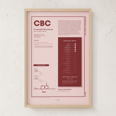 GoldLeaf CBC: A Closer Look Print Best Sales Price - Art Prints