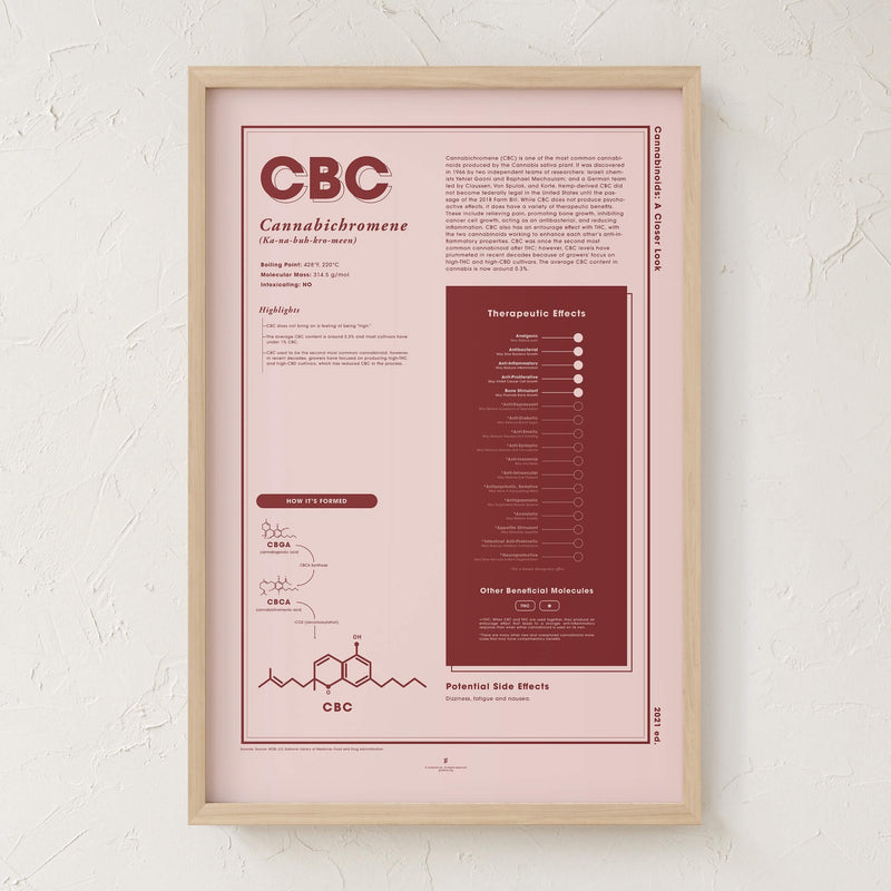 GoldLeaf CBC: A Closer Look Print Best Sales Price - Art Prints