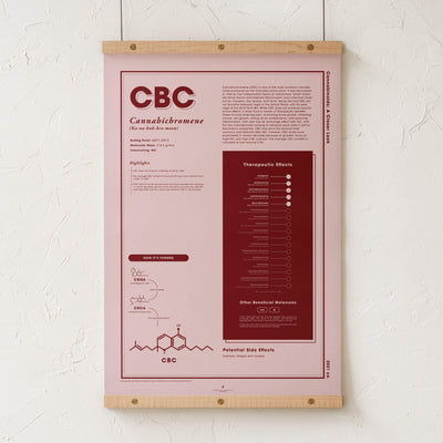 GoldLeaf CBC: A Closer Look Print Best Sales Price - Art Prints