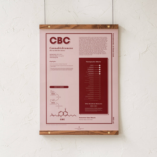 GoldLeaf CBC: A Closer Look Print Best Sales Price - Art Prints