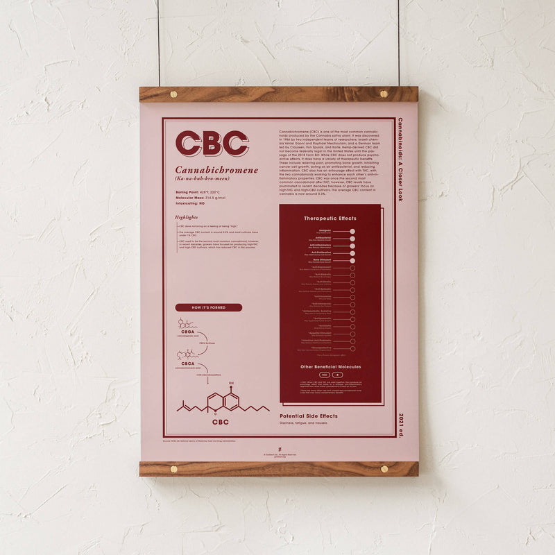 GoldLeaf CBC: A Closer Look Print Best Sales Price - Art Prints