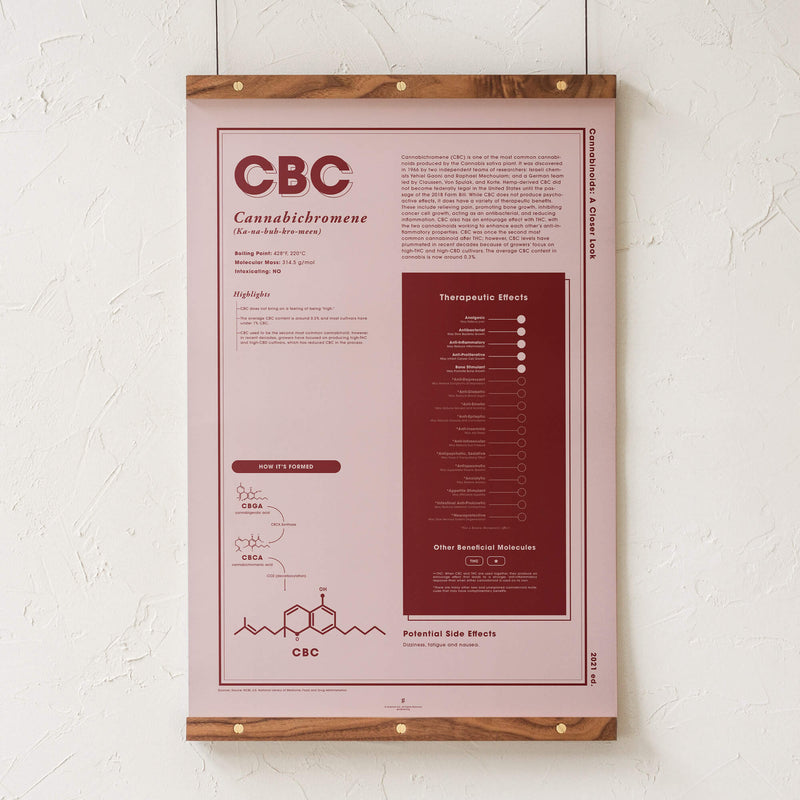 GoldLeaf CBC: A Closer Look Print Best Sales Price - Art Prints