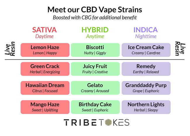 Save $20: TribeTokes Vape Kitty Battery + CBD Cartridge | Starter Kit Best Sales Price - Vape Kits