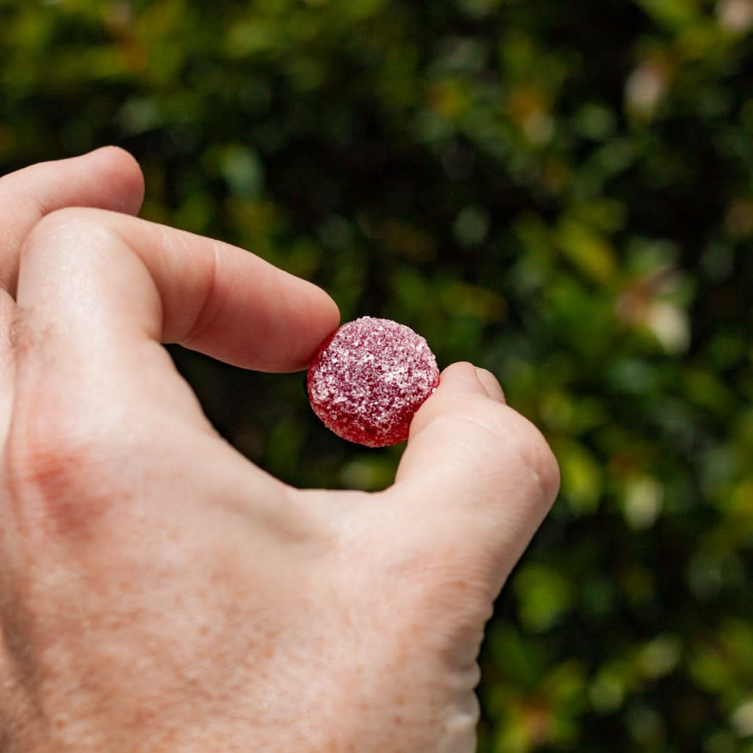 Pure Full Spectrum CBDA Rosin Gummies