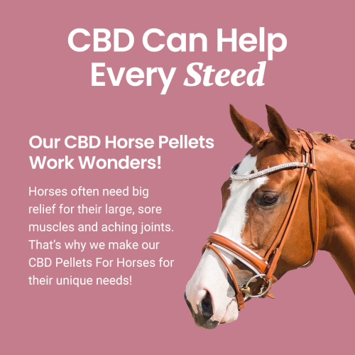 Holistapet CBD Pellets for Horses