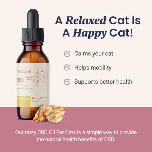 Holistapet Chicken Flavored CBD Oil for Cats