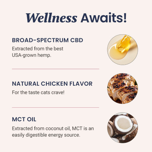 Holistapet Chicken Flavored CBD Oil for Cats