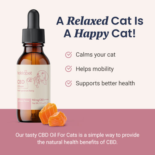 Holistapet Salmon Flavored CBD Oil For Cats